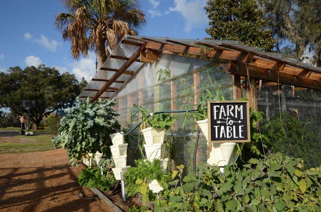 True Farm to Table Dining | Best Italian Restaurant in Tampa